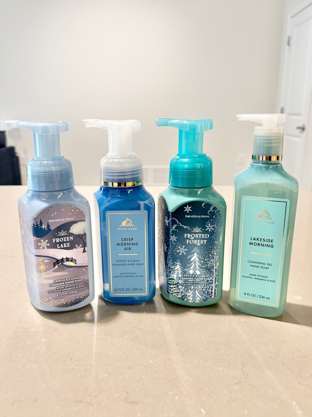 Bath & Body Works Winter Hand Soap Lot of 4 Frozen Lake Frosted Forest